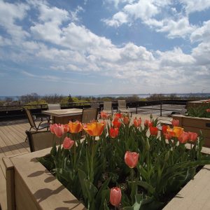 Lake-Summit-Apartments-021