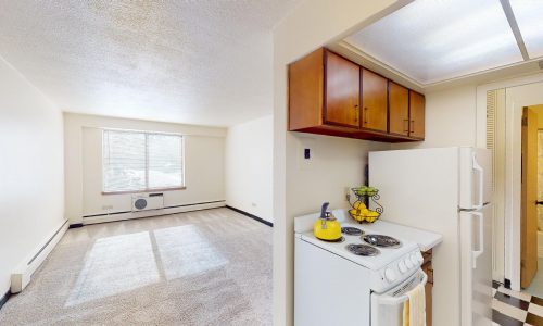 Lake-Summit-Style-103-1-Bed-1-Bath-03172023_074017