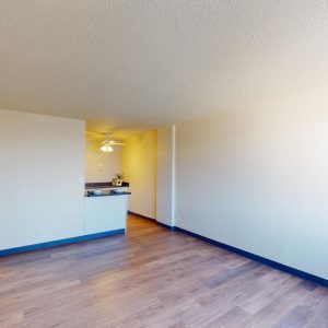 Lake-Summit-Style-613-1-Bed-1-Bath-03172023_074410