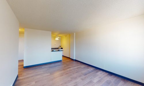 Lake-Summit-Style-613-1-Bed-1-Bath-03172023_074410