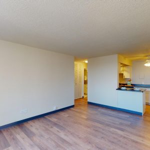 Lake-Summit-Style-613-1-Bed-1-Bath-03172023_074427