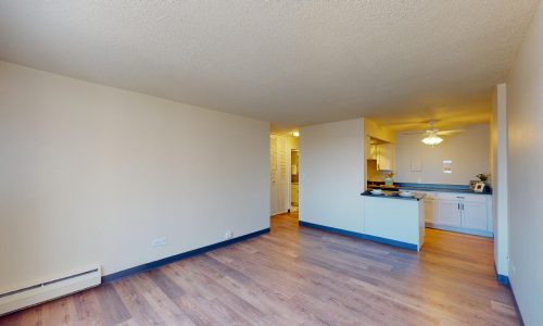 Lake-Summit-Style-613-1-Bed-1-Bath-03172023_074427