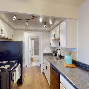 Lake-Summit-Style-613-1-Bed-1-Bath-03172023_074456