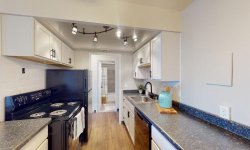 Lake-Summit-Style-613-1-Bed-1-Bath-03172023_074456